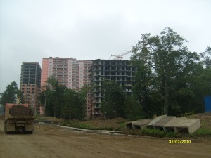 S6300678.JPG