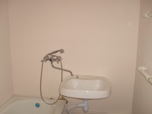 S7300617.JPG