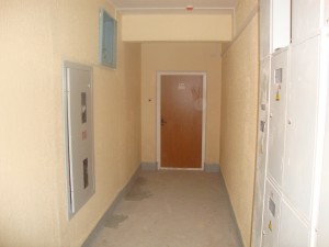 DSC00310.JPG