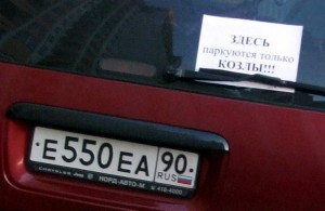 парковка_козликов_2.jpg