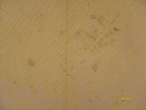 S6300699.JPG