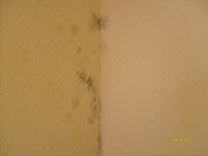 S6300700.JPG