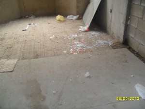 SAM_1105_1.jpg