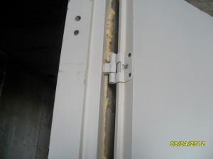 SAM_1155_1.jpg