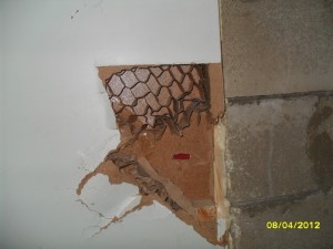SAM_1156_1.jpg