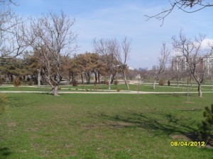 SAM_1172_1.jpg