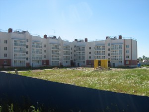 IMG_2955.jpg