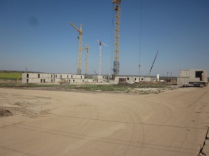 IMG_1144.jpg