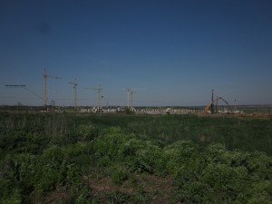 IMG_1148.jpg