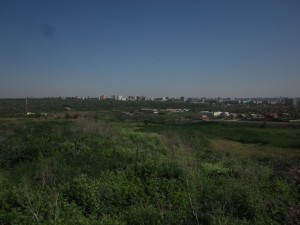 IMG_1150.jpg