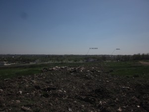 IMG_1154.jpg