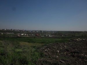 IMG_1156.jpg