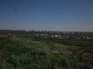 IMG_1157.jpg