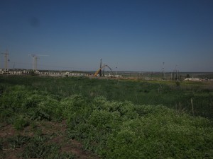 IMG_1158.jpg