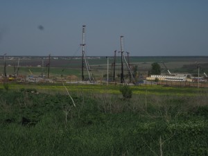 IMG_1160.jpg