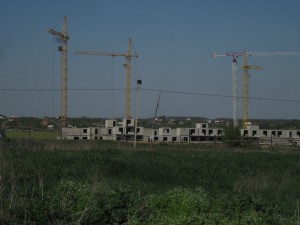 IMG_1162.jpg