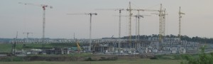 IMG_0368_cr.jpg