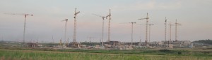 IMG_0382_cr.jpg