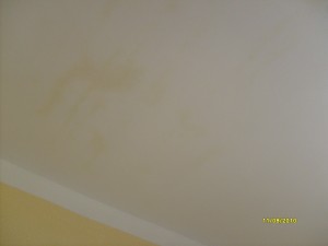 S6300705.JPG