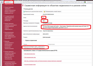 Росреестр.png