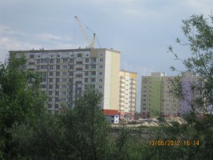 IMG_2286.jpg