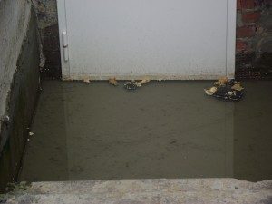 DSCF0305.jpg
