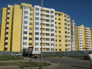 IMG_3985.jpg