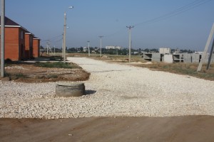 IMG_1496.jpg
