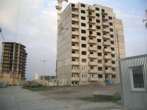 IMGP6569.jpg