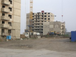 IMGP6572.jpg