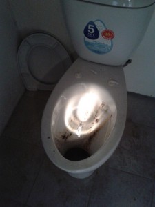 20120808_143619.jpg