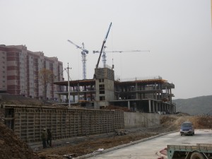 IMGP4372.jpg