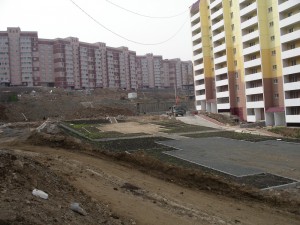 IMGP4369.jpg