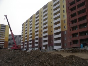 IMGP4362.jpg