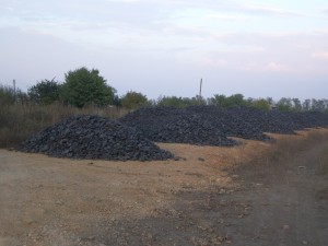 IMGP6705.jpg