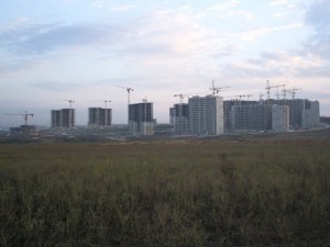 IMGP6703.jpg