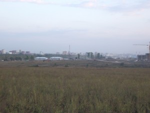 IMGP6704.jpg