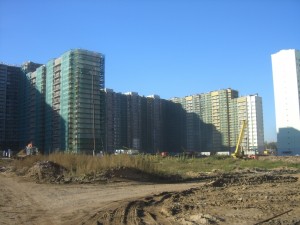 CIMG6897.JPG