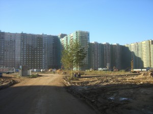CIMG6892.JPG