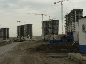P1100846.JPG