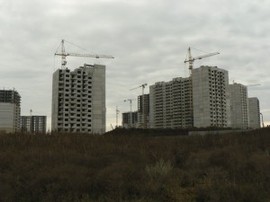 P1100849.JPG
