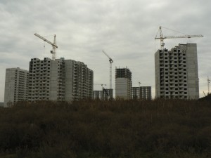 P1100850.JPG