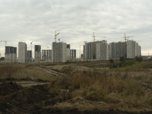 P1100852.JPG