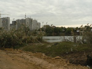P1100860.JPG