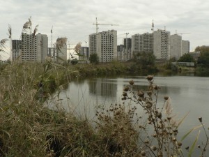 P1100862.JPG