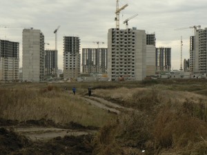 P1100869.JPG