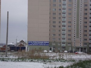 DSC02204.JPG