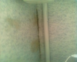 31102012135.jpg