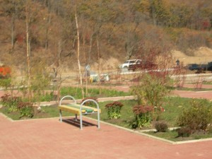 DSCN5105.JPG