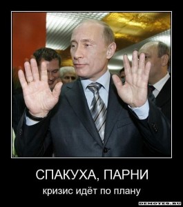 118779_original.jpg